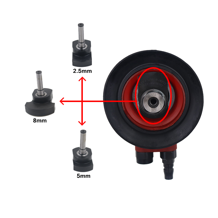 النخيل المداري الهواء ساندر