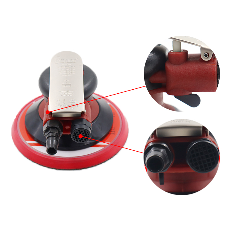 النخيل المداري الهواء ساندر