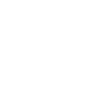 biao_17